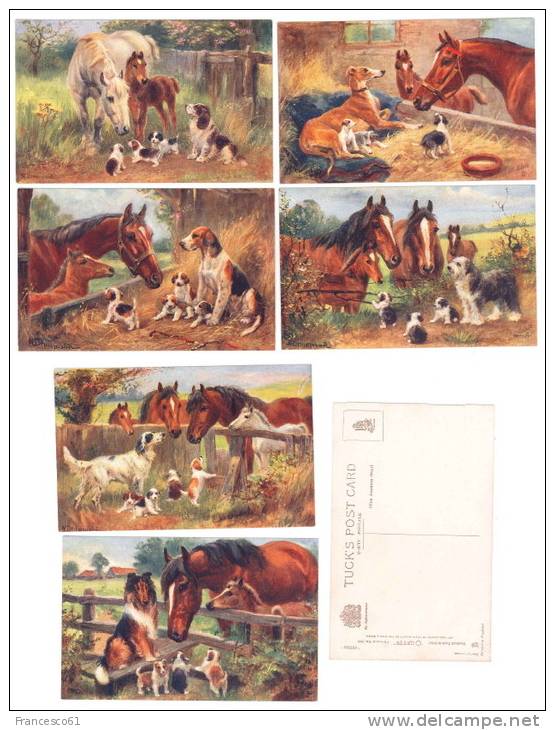 B184 CAVALLI CANI CHUMS OILETTE ENGLAND SERIE COMPLETA 6 CARDS  NON VIAGGIATE - Pferde