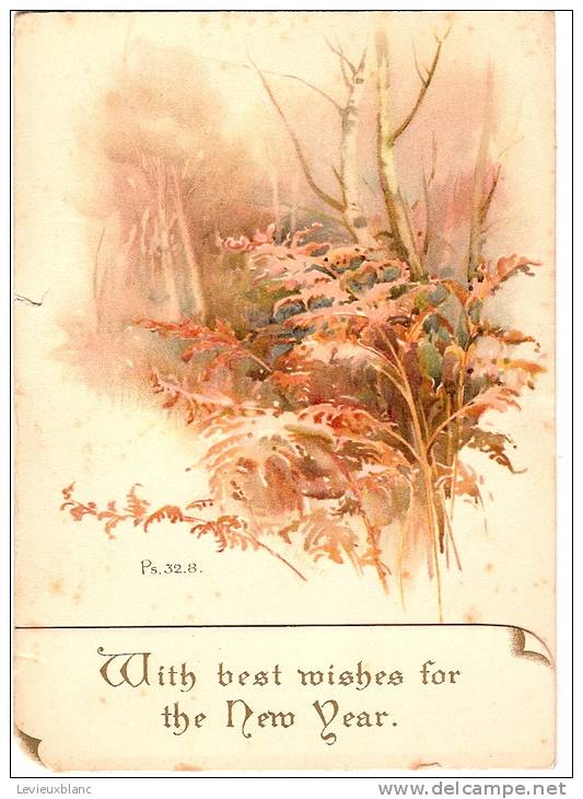 Carte De Voeux/With Best Wishes For The New Year/ Vers 1890    CVE6 - New Year