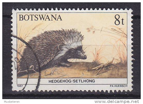 ## Botswana 1987 Mi. 409     8 C Afrikanischer Igel Hedgehog - Botswana (1966-...)