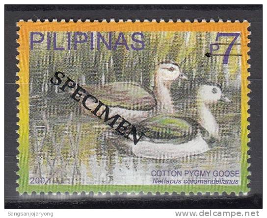 Specimen, Philippines Sc3098d Bird, Cotton Pygmy Goose - Oche