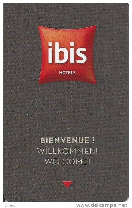 CLE HOTEL IBIS BIENVENUE ETAT COURANT - Clés D'hôtel