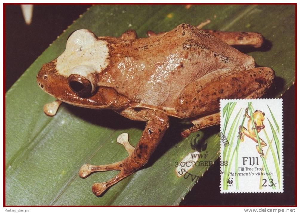 Fiji 1988 - WWF Tree Frogs 4 FDI Maxicards, Wild Life, Animals, Fauna Maximum Cards, FDC - Kikkers