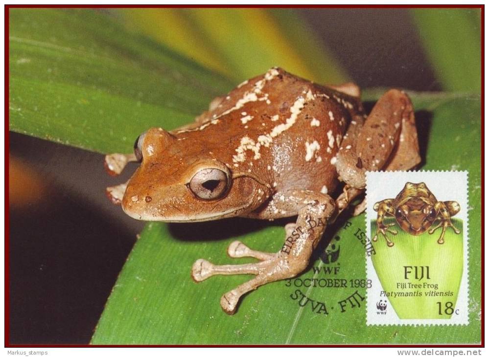 Fiji 1988 - WWF Tree Frogs 4 FDI Maxicards, Wild Life, Animals, Fauna Maximum Cards, FDC - Kikkers