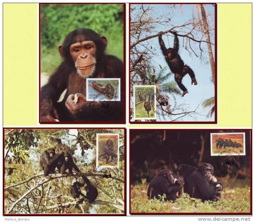 Sierra Leone 1983 - WWF Chimpanzees 4 FDI Maxicards, Monkeys, Wild Animals, Fauna Maximum Cards, FDC - Chimpanzés