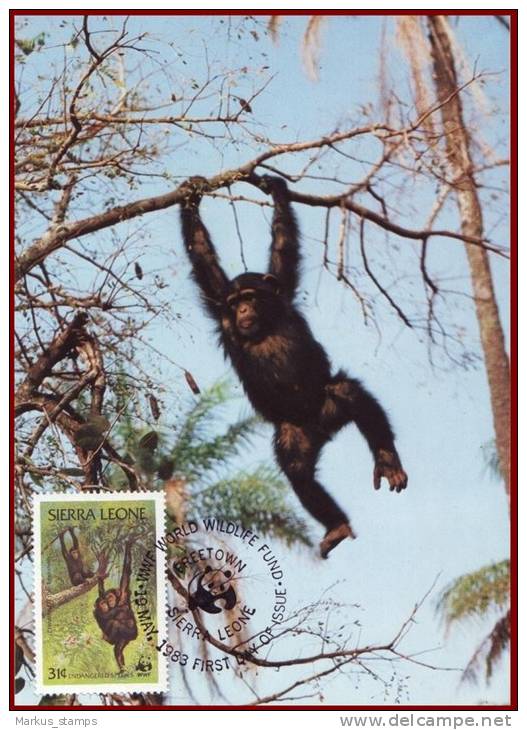 Sierra Leone 1983 - WWF Chimpanzees 4 FDI Maxicards, Monkeys, Wild Animals, Fauna Maximum Cards, FDC - Chimpancés