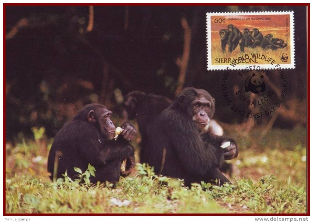 Sierra Leone 1983 - WWF Chimpanzees 4 FDI Maxicards, Monkeys, Wild Animals, Fauna Maximum Cards, FDC - Scimpanzé