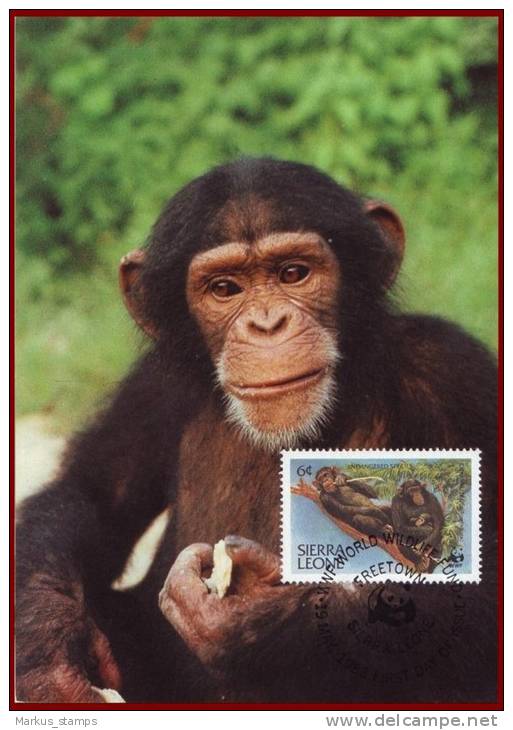 Sierra Leone 1983 - WWF Chimpanzees 4 FDI Maxicards, Monkeys, Wild Animals, Fauna Maximum Cards, FDC - Scimpanzé