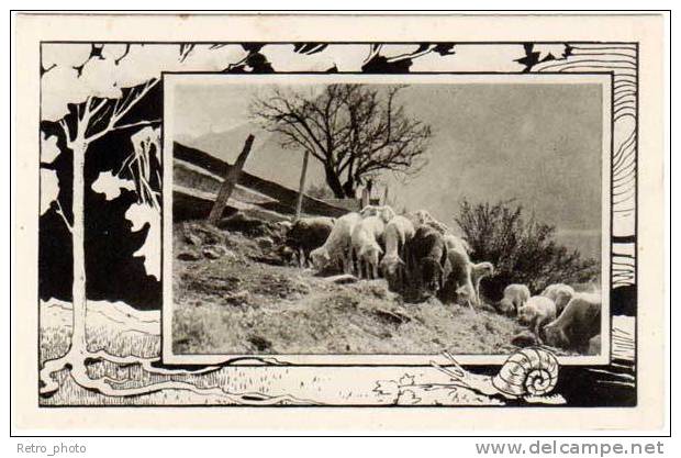 5 CPA : Suisse (pub Chocolat Klaus Au Verso), Moutons, Escargot, Chamois, ... ( PUB ) - Advertising