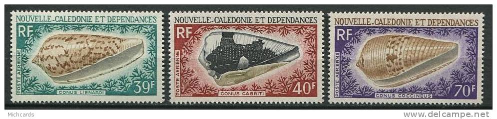 NLE CALEDONIE 1968 - Coquillages Cones - Neuf, Gravé Sans Charniere (Yvert A 98/100) - Neufs