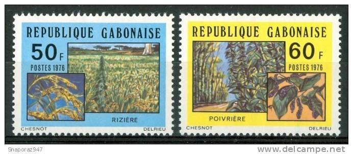 1976 Gabon Agricoltuta Agriculture Set MNH** Pa47 - Gemüse