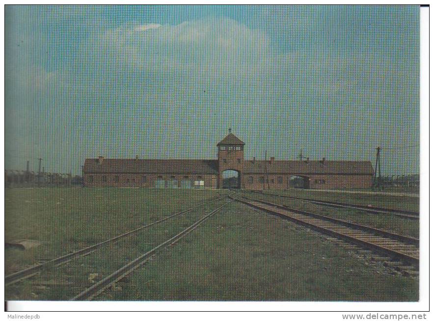 CP  BIRKENAU  (POLOGNE) - Ancien Camp Hitlérien D'extermination : L'entrée Principale Du Camp - Guerre 1939-45