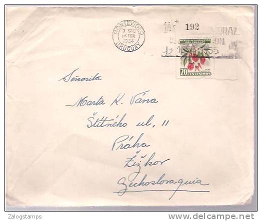 Uruguay, Airmail Cover To Germany, Stamps, Flora   (8130) - Uruguay