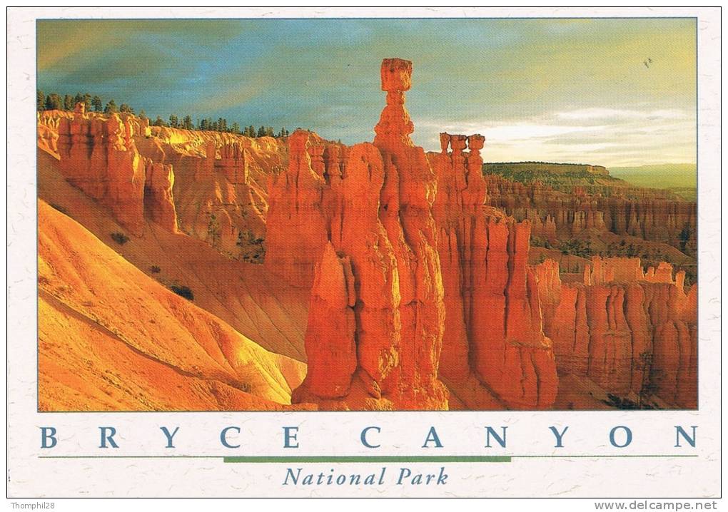 BRYCE CANYON National Park - Thor's Hammer, One Of Bryce Canyon's Popular Hoodods, Is Visible From Sunset Point - - Bryce Canyon