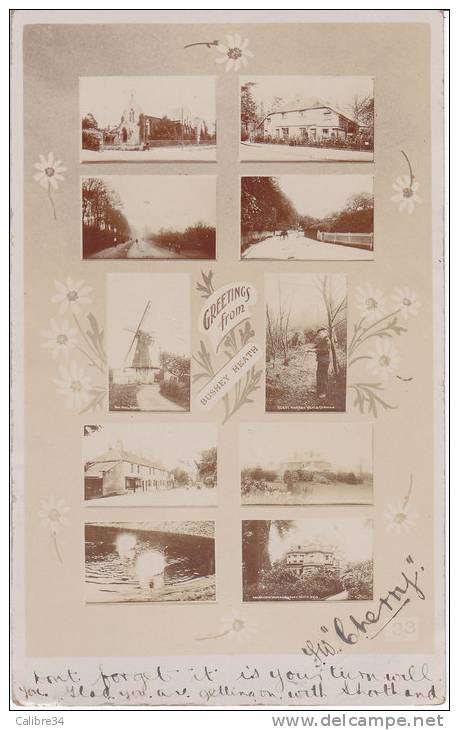 GREETINGS From BUSHEY HEATH (1906) - Hertfordshire