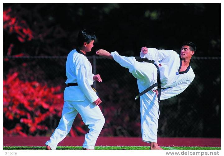 SA31-010  @      Taekwondo  , Postal Stationery -Articles Postaux -- Postsache F - Non Classificati