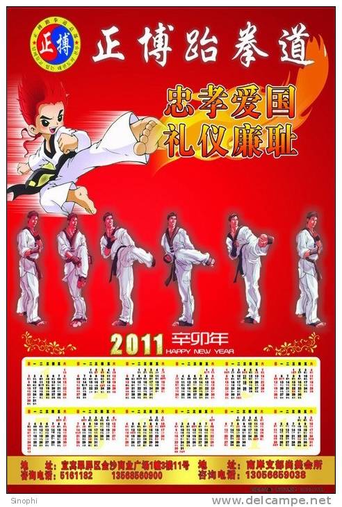 SA31-014  @      Taekwondo  , Postal Stationery -Articles Postaux -- Postsache F - Non Classificati