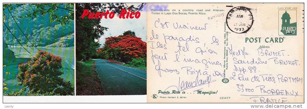 CPSM 9X14 De PUERTO RICO - Flamboyants On A Country Road And AFRICAN TULIPS In LAGO DOS BOCAS - 1973 - Puerto Rico