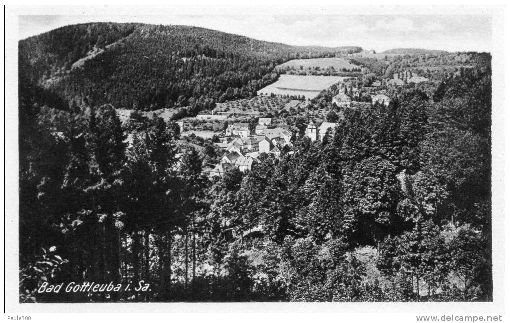 Bad Gottleuba - Teilansicht  L21 - Bad Gottleuba-Berggiesshuebel