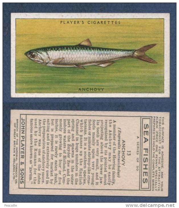 CHROMO PLAYER´S CIGARETTES - SEA FISHES - ANCHOVY - ANCHOIS - Player's