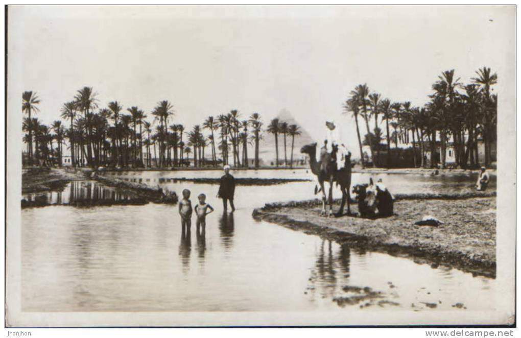 Egypt-Postcard Interwar-Landscape Near The Pyramids,oasis With Camels-unused, 2/scans. - Pyramiden