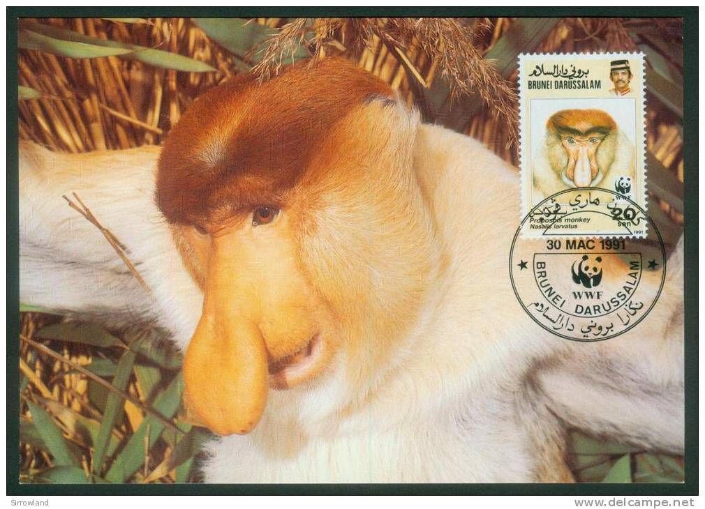 Brunei  1991  WWF - Nasenaffe  (4 MK  Kpl. )  Mi: 430-33 (11,00 EUR) - Brunei (1984-...)