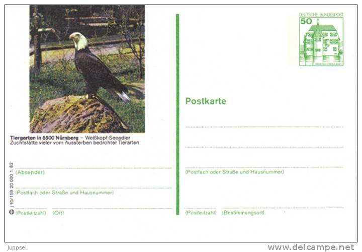 Entier Postal Allemagne, 1982 - Bald Eagle / Pygargue à Queue Blanche - Stationery Postcard - Adler & Greifvögel