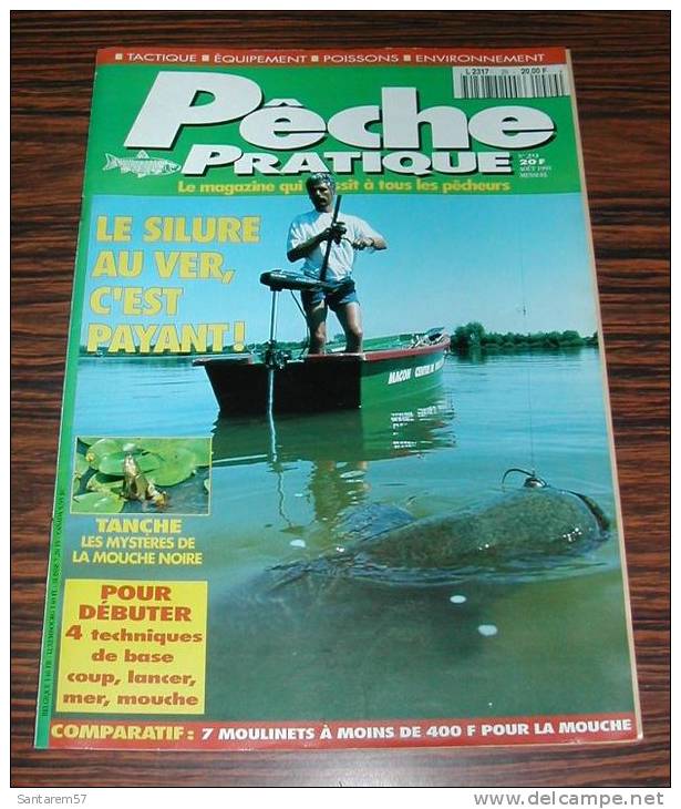 Revue Magasine MAGAZINE Pêche Pratique N° 29 Août 1995 Le Silure Au Ver, C'est Payant .... - Jagen En Vissen