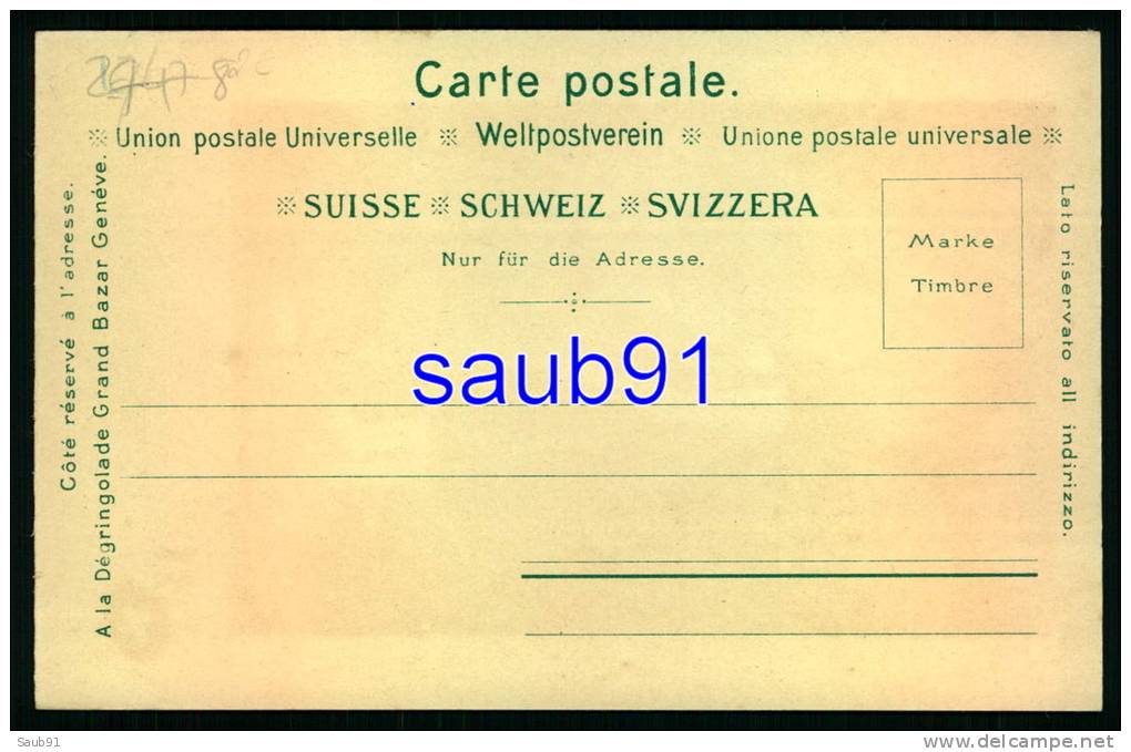 Basel  Tracht - Bâle -  Femme En Costume Régional Suisse  -  Schweizertrachten  - Foklore  - Faucille  -  Réf : 27478 - Autres & Non Classés