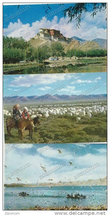 CHINA SCENIC TIBET 10 POST CARDS NEW TIBET VIEWS, BRIDGE, MOUNTAINS, SHEEPS,FARM, BIRDS, FLOWERS - Tíbet