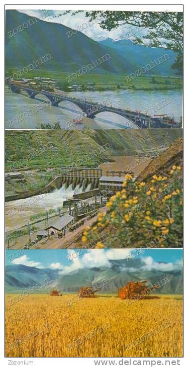 CHINA SCENIC TIBET 10 POST CARDS NEW TIBET VIEWS, BRIDGE, MOUNTAINS, SHEEPS,FARM, BIRDS, FLOWERS - Tibet