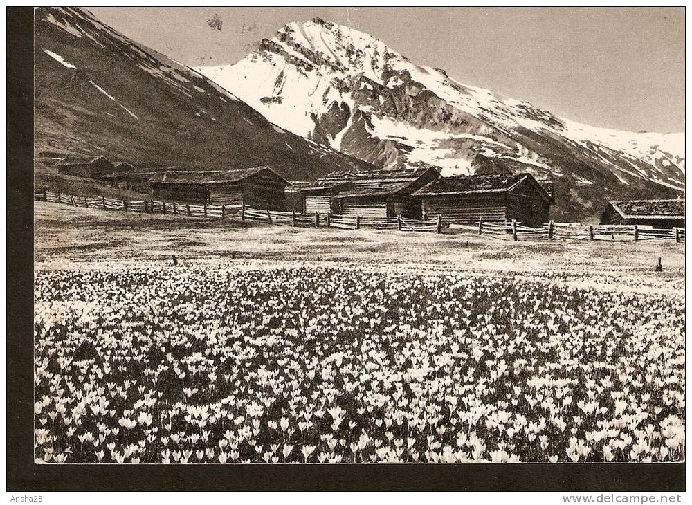 5k. Switzerland, Wiesener Alp Mit Valbellahorn - Wiesen