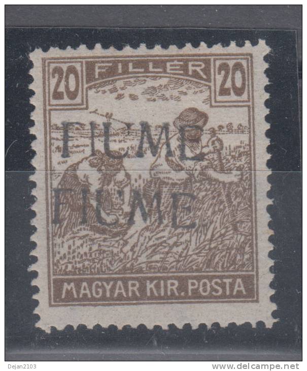 Italy Hungary Fiume 20 Filler Double Overprint Mi#14II 1918 MH * - Fiume & Kupa
