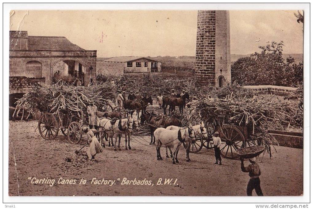 AMERICA ANTILLES BARBADOS CARTING CANES TO FACTORY JAMMED CORNER OLD POSTCARD 1926. - Barbados