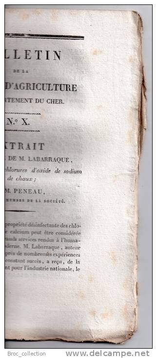 Bulletin De La Société D´Agriculture Du Département Du Cher N° X, 1827, Chaux, Pressoir, Chenille Des Grains Voir Détail - Zeitschriften - Vor 1900