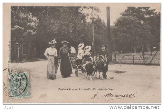PARIS VECU ( Au Jardin D' Acclimatation.voiture De Chevres ) - Sets And Collections
