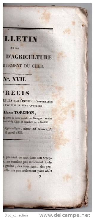 Bulletin De La Société D´Agriculture Du Département Du Cher N° XVII, 1833, Arbres Verts, Résineux, Henri Torchon - Zeitschriften - Vor 1900