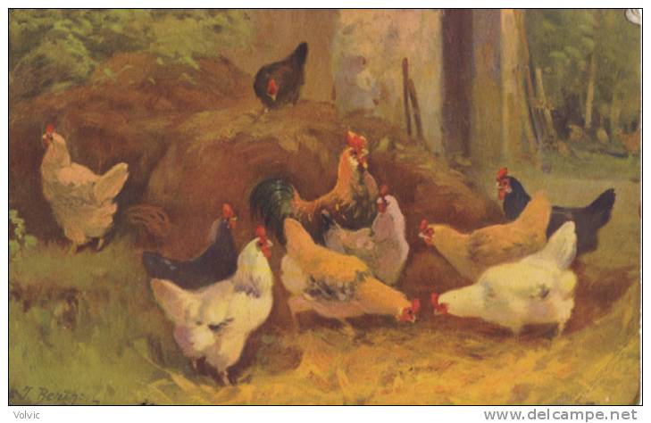 - Carte Tableau De Poules Et Coqs Qui Picorent - Signé Berthon - Berthon