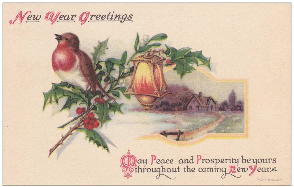 Bird Singing On Holly Branch By Golden Light,  New Year Greetings 1900-10s - Nieuwjaar