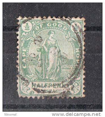 Capo Di Buona Speranza   -   1896-902.  Allegoria.  ½ Penny Green - Cape Of Good Hope (1853-1904)