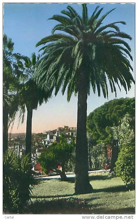 06 - GRASSE - Végétation Méditerranéenne Et La Ville (Ed. S.E.P.T., 75-18) - Grasse