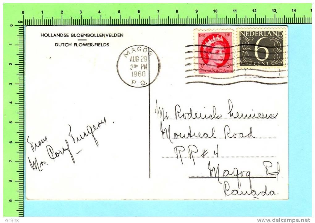 Timbres Du Néderland Et Du Canada Avec La Même Oblitération Canadienne  1960 Sur Carte Postale - 1953-.... Reinado De Elizabeth II