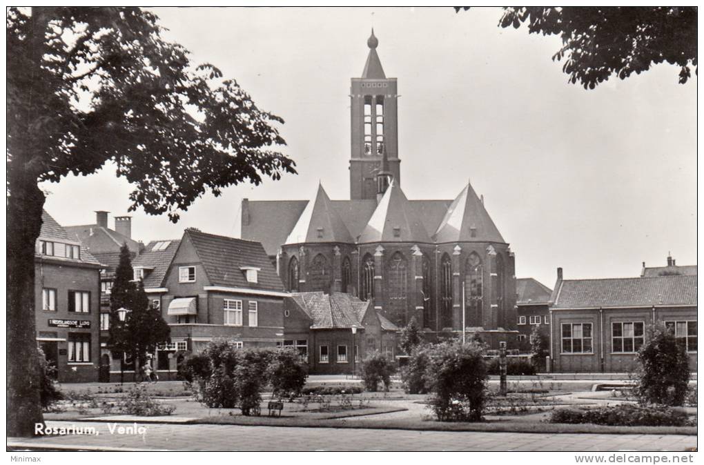 Rosarium - Venlo, 1953 - Venlo