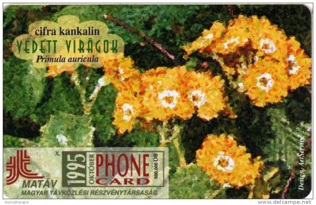 Hongrie : Telefon Kartya 50 Egység : Fleurs Flowers Oktober 1995 - Flores