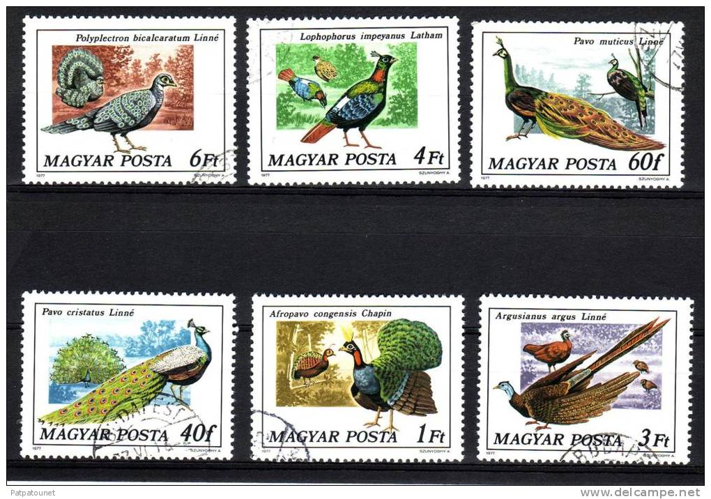 Hongrie YV 2550/5 O 1977 Oiseaux - Gallinacées & Faisans