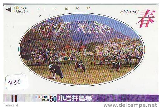 Télécarte JAPON * VACHE (430) FRONTBAR * COW * KOE * BULL * TAUREAU * KUH * PHONECARD JAPAN * TK * VACA * TAURUS - Vacas