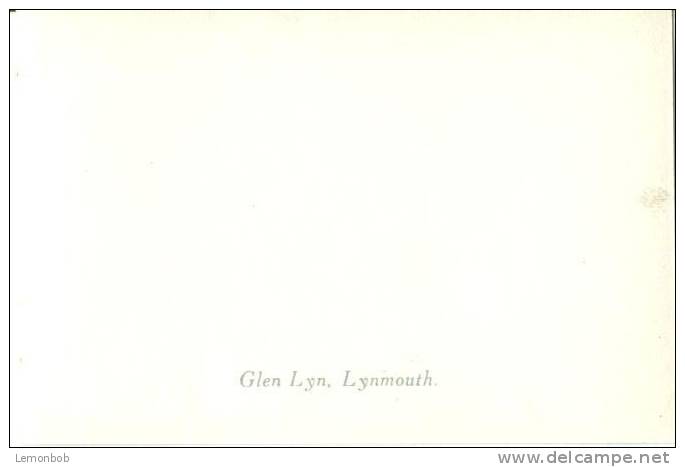 UK, Glen Lyn, Lynmouth, Photo Snap-Shot [12708] - Other & Unclassified
