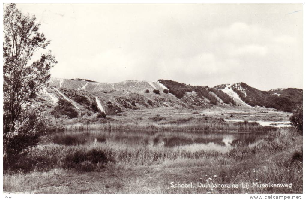 Duinpanorama Bij Munnikenweg - Schoorl