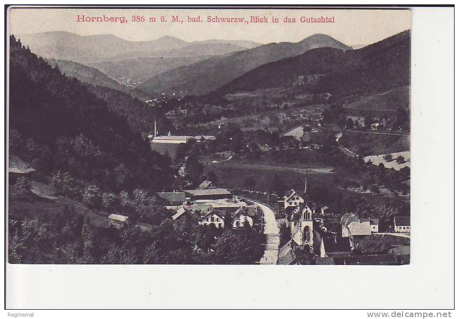 Hornberg, Blick In Das Gutachtal, Ca. 1910 - Hornberg
