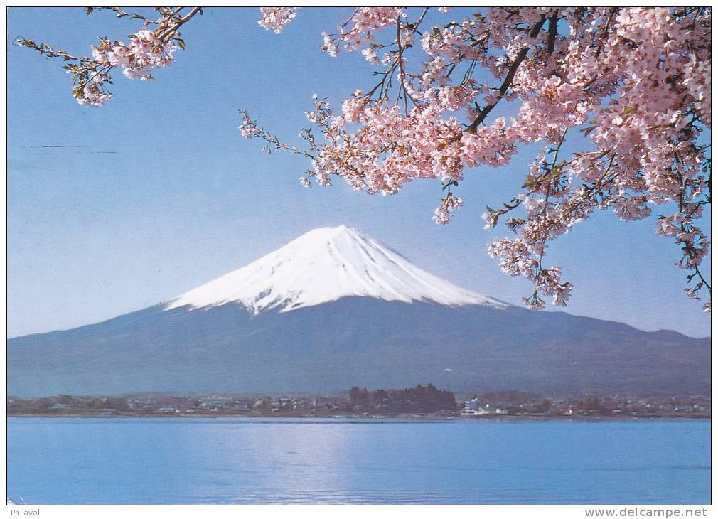 JAPON : Affranchissement Sur Carte Postale Du Mont Fuji - Cartas & Documentos