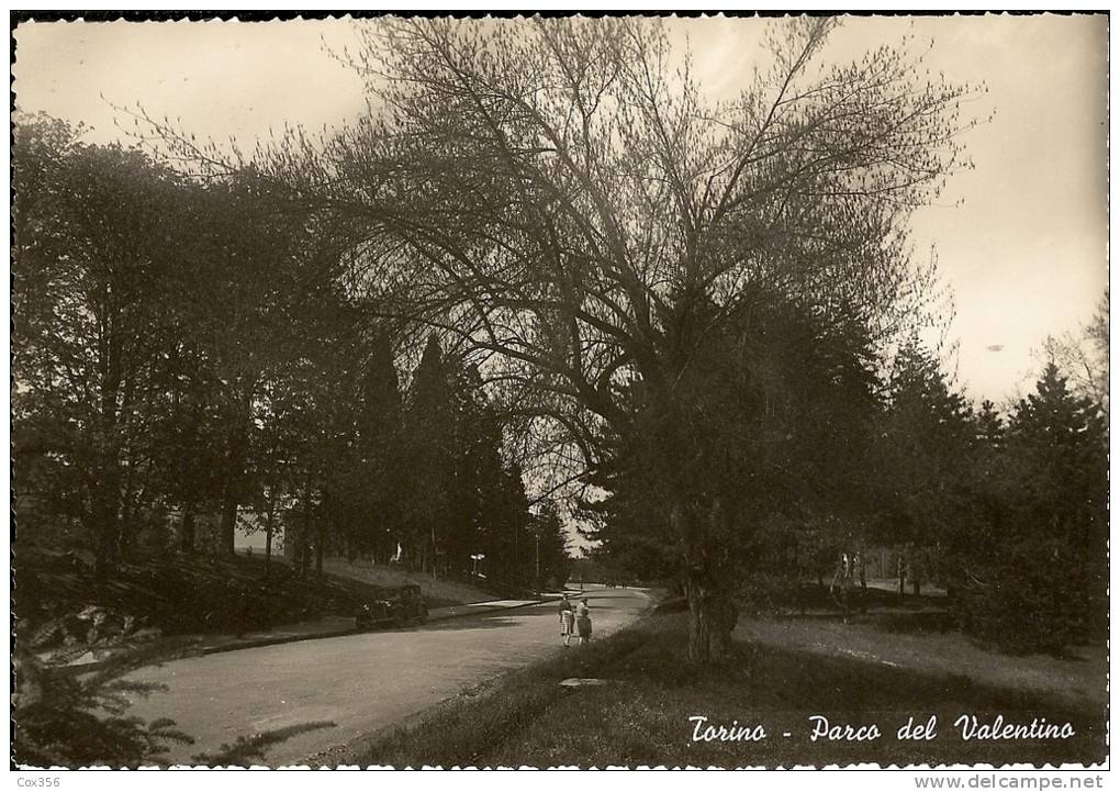 CPA ITALIE  TORINO PARCO DEL VALENTINO - Parques & Jardines